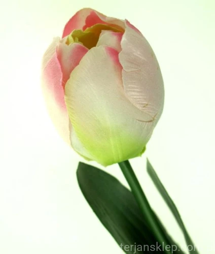 7dd78947817fad54bc4d8524dba0ad396cd5b983
