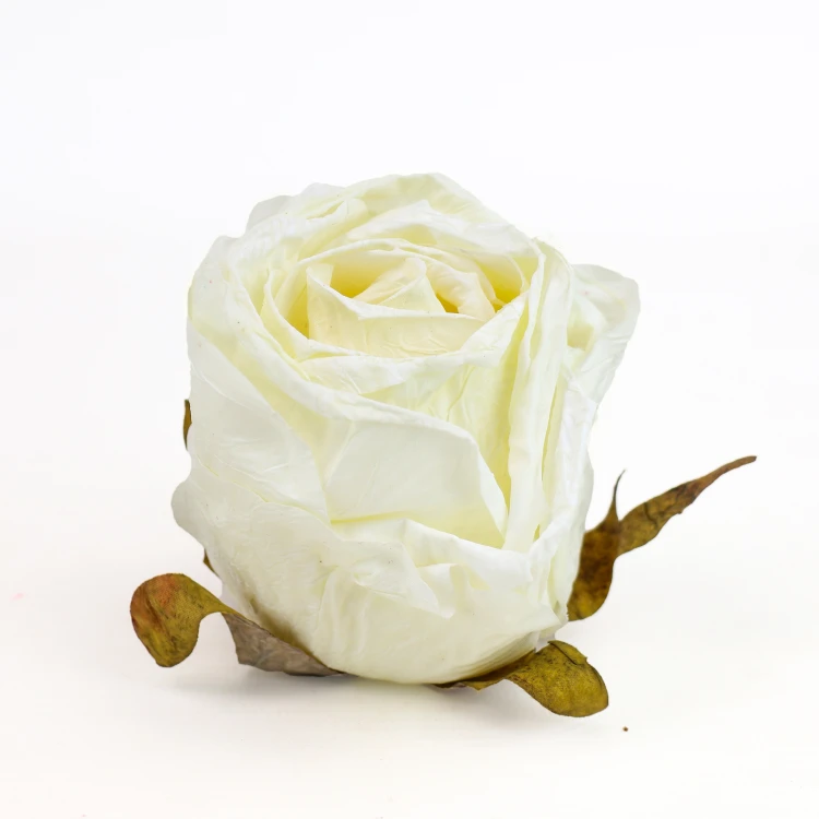 terjan (13).jpg