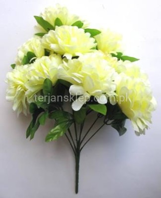 Bukiet chryzantem A-031 krem