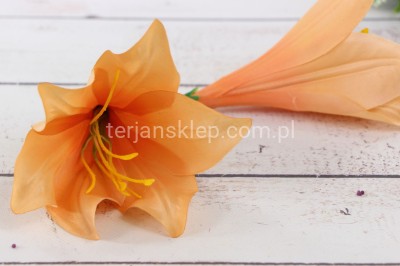 Lilia kielichowa W374 / J180 (12 szt) tea / salmon L13