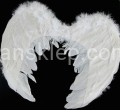 a56970dab80ed2b8e810692a8ab4ea0c6ece9cf3