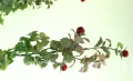 6f14339ff5d2448293d8715e166f5f8a9715dd0a