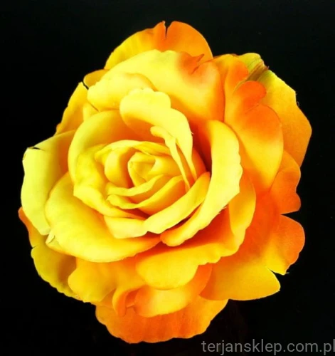 5c314da41e6f61b367e9a8b77c7727377ea196af