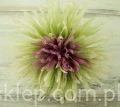 IMG_9438.JPG