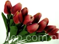 e34007c2cd490fd3f8f1af0c950c3b95d58e226c