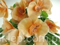 c88ab9fec1f9c15bc78fa98c5c65f3bf9d15a6ba
