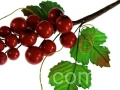 8a5c7220fde807ddfeca3fbf65cece2023e8de5d