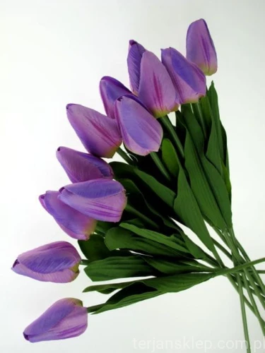 45bb22a08cb9c9fb1ddd878d4e13f9d1e5688687