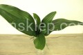 IMG_6716.jpg