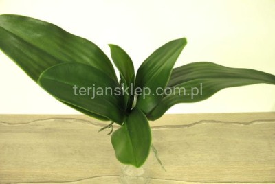 Liście storczyka (gumowe) LA710 A