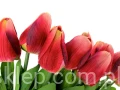 b97f3d59eeb9c3fd9f009cc5910593adba91146c