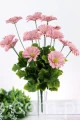 IMG_2730.JPG