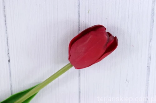 00003233.JPG