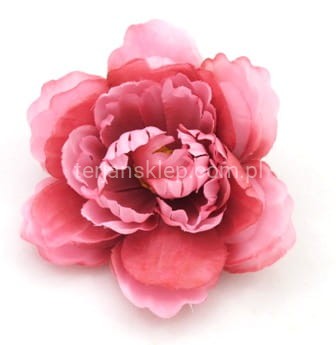 Peonia K089 (12 szt) aut pink (brudny róż)