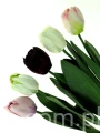 4893f3f3be1d45efe13b72df1e9516966a29e48c