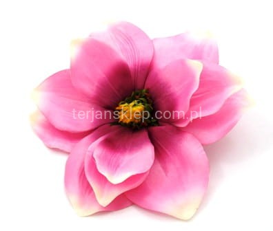 Magnolia C368 / CM520 róż z ciemniejszym środkiem #M