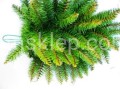 IMG_1881.JPG