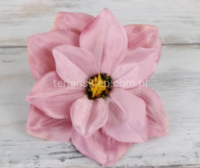 Magnolia C368 j.br. róż pudrowy #AB