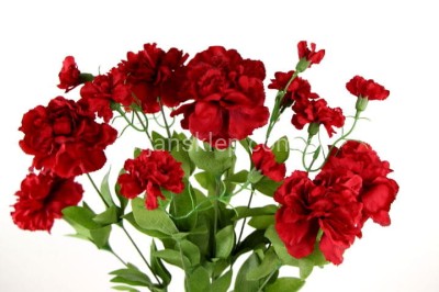 Bukiet goździków SUN495 red #mix5