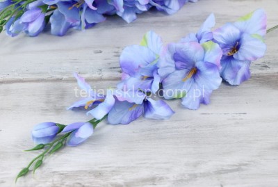 Mieczyk BL019 ABC (12 szt) dk blue (nieb.) W18-88