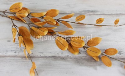 Gałąź potrójna Lanceria CB415 C (herb./j.rudy)