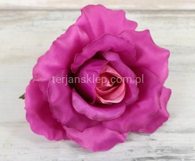 Róża wyrobowa F004 beauty pink (z j.śr.)