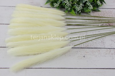 Pampasowe gał. TIK119 (12 szt) krem / white