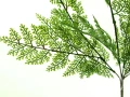 d249f4b8bcacd84e06ae7e1ad9a6c216d734a597