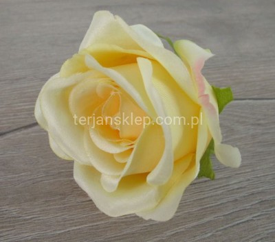 Róża wyrobowa MGHT (12 szt) new lemon #128