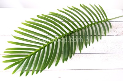 Paproć CHICO duża ART202 (6 szt)