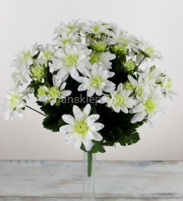 Bukiet margaretek SUN470 krem #1 / #4