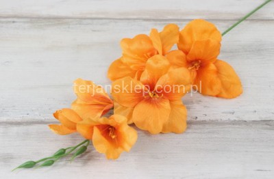 Mieczyk satynowy wyrobowy L004 coffee (pomar.) #12 / orange MA15
