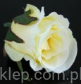 fb96075ea269f217f5ab9cea4344082d80e6ddfa