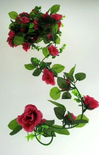 IMG_1763.jpg