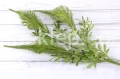 IMG_3512.JPG