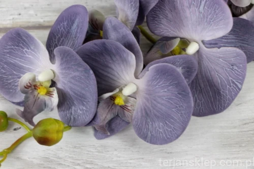 00000704.JPG