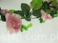 IMG_1762.jpg