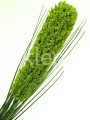 bd3bf41199dcbfc3feeb164bb3c1879b6deec190