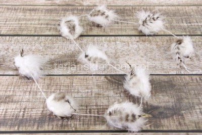 Girlanda z pierzastych jaj TG39910