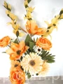 IMG_3669.jpg