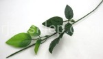 Łodyga do róży A035 (12 szt)