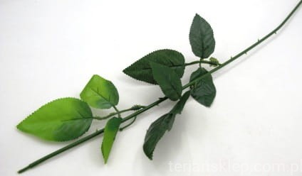 IMG_4935.JPG