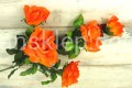 IMG_7760.jpg