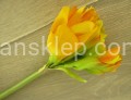 IMG_6028.jpg