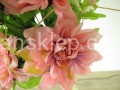 IMG_5846.jpg