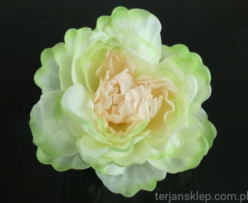 7a971695db73645dfb431230ca6fa2dc6093e58d