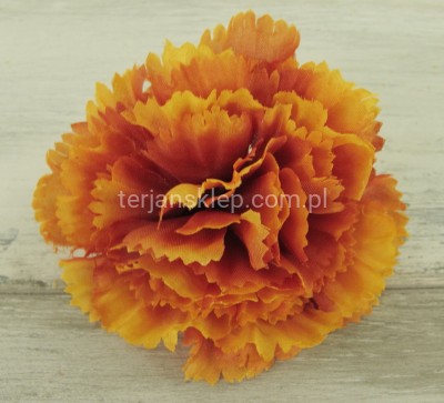 Goździk K087 tt new brown (24 szt) podpalany