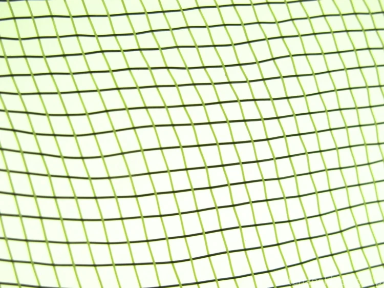 c403a8f39cd2ff06a36ae05c3abda91e70e2f692