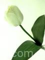 aa0e728cbc2a79c7eae5c0e4aa39ead3d9b80839