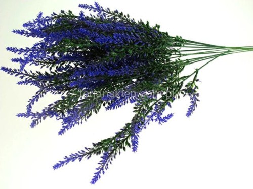 e76dc66a3497c50e533ef1efc33bc59f944dc0cb